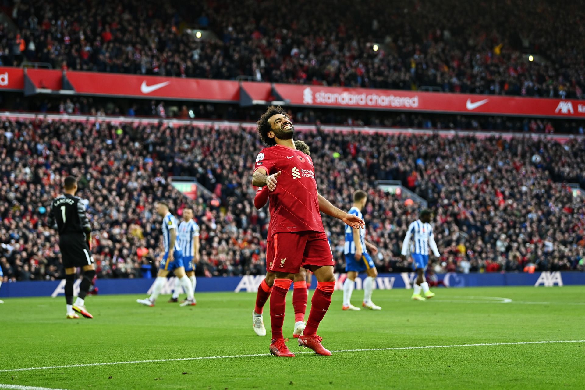 Liverpool v Brighton & Hove Albion - Premier League